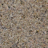 <a href='thumbs/tem brown.jpg' >tem brown</a>
