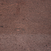 <a href='thumbs/tem brown.jpg' >tem brown</a>