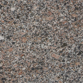 <a href='thumbs/tem brown.jpg' >tem brown</a>