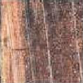<a href='thumbs/wall/wall30.jpg'>Wall tiles</a>
