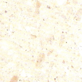<a href='thumbs/quartz/cq49.jpg'>COMPOSITE & QUART STONE</a>